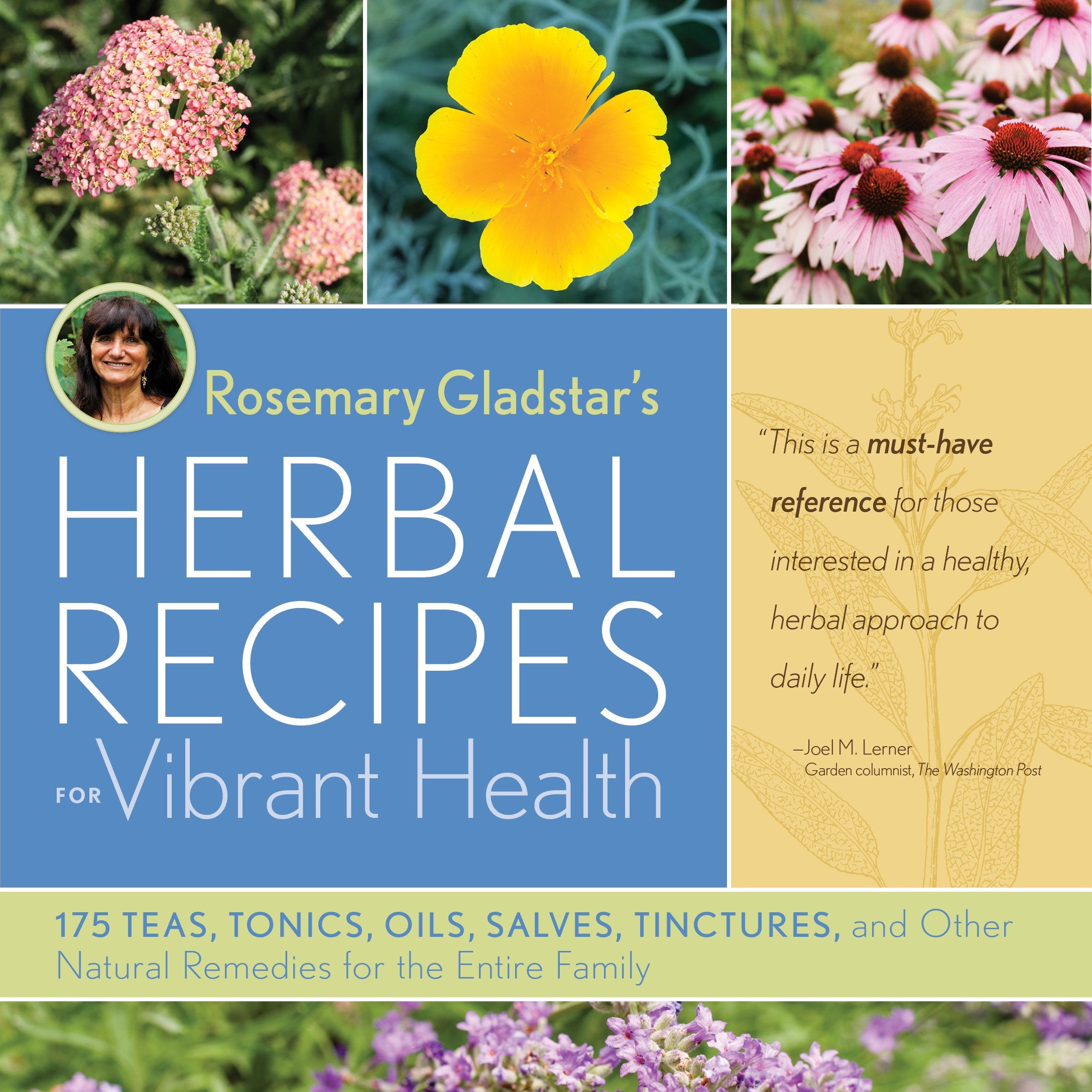 Rosemary Gladstars Herbal Recipes for Vibrant Health: 175 Teas, Tonics, Oils, Salves, Tinctures, and Other Natural Remedies for