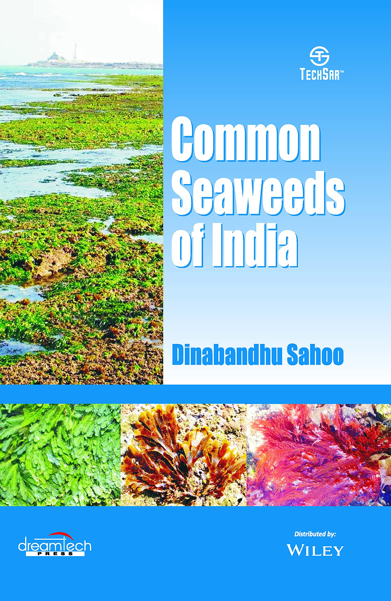 Common Seaweeds Of India | K