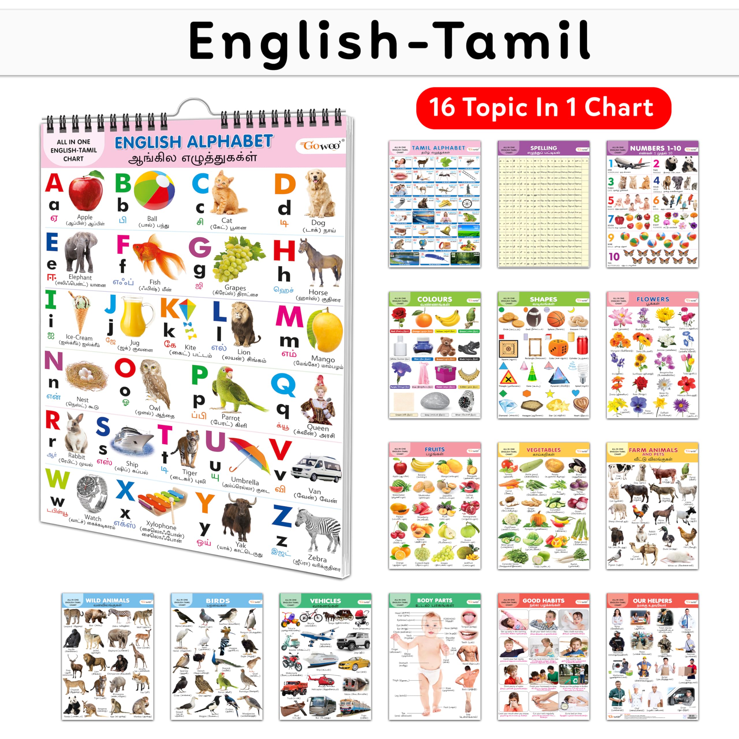 Toddlers learning library : Learning Chart for kids, My First ALL IN ONE SPIRAL CHART ENGLISHTAMIL With 16 Topics, birthday gif