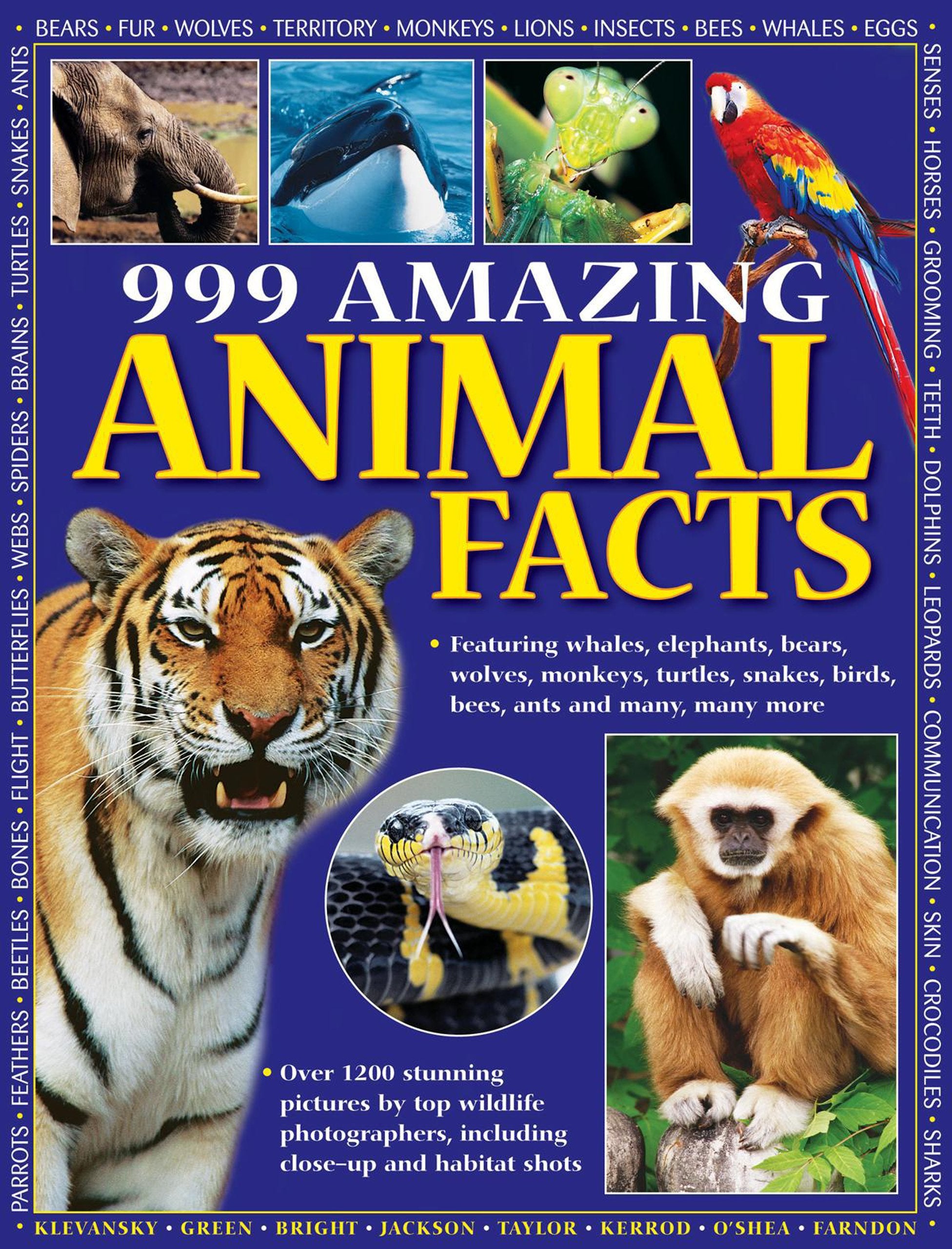 999 Amazing Animal Facts: Featuring whales, elephants, bears, wolves, monkeys, turtles, snakes, birds, bees, ants and many, many