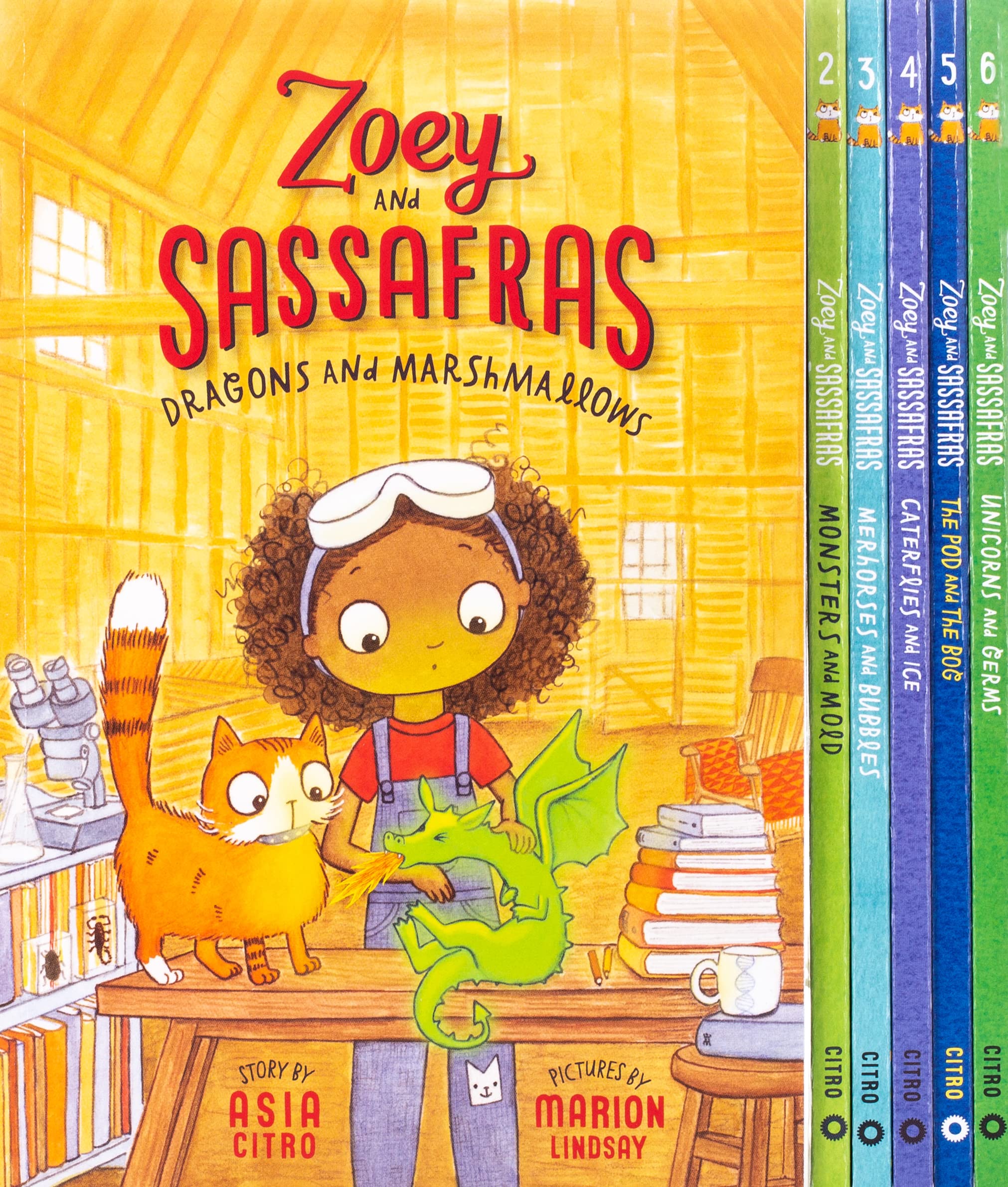 Zoey and Sassafras Books 16 Pack