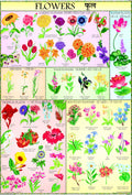 Flower Chart for Kids | 70 x 100 cm | Laminated
