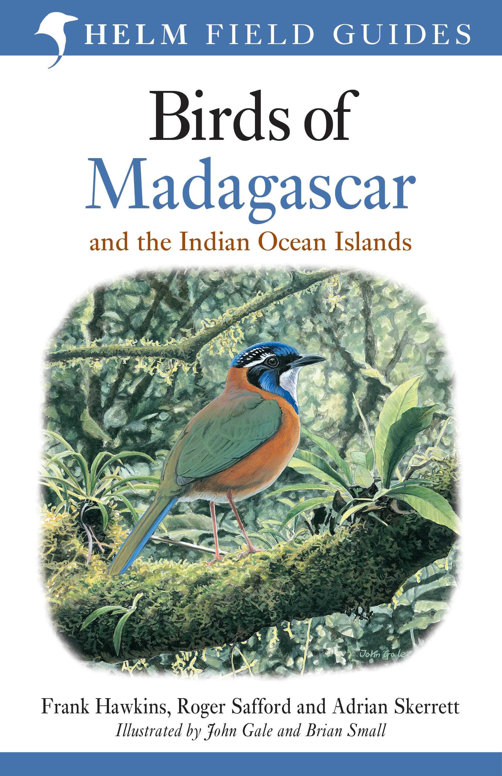 Field Guide to the Birds of Madagascar and the Indian Ocean Islands (Helm Field Guides)