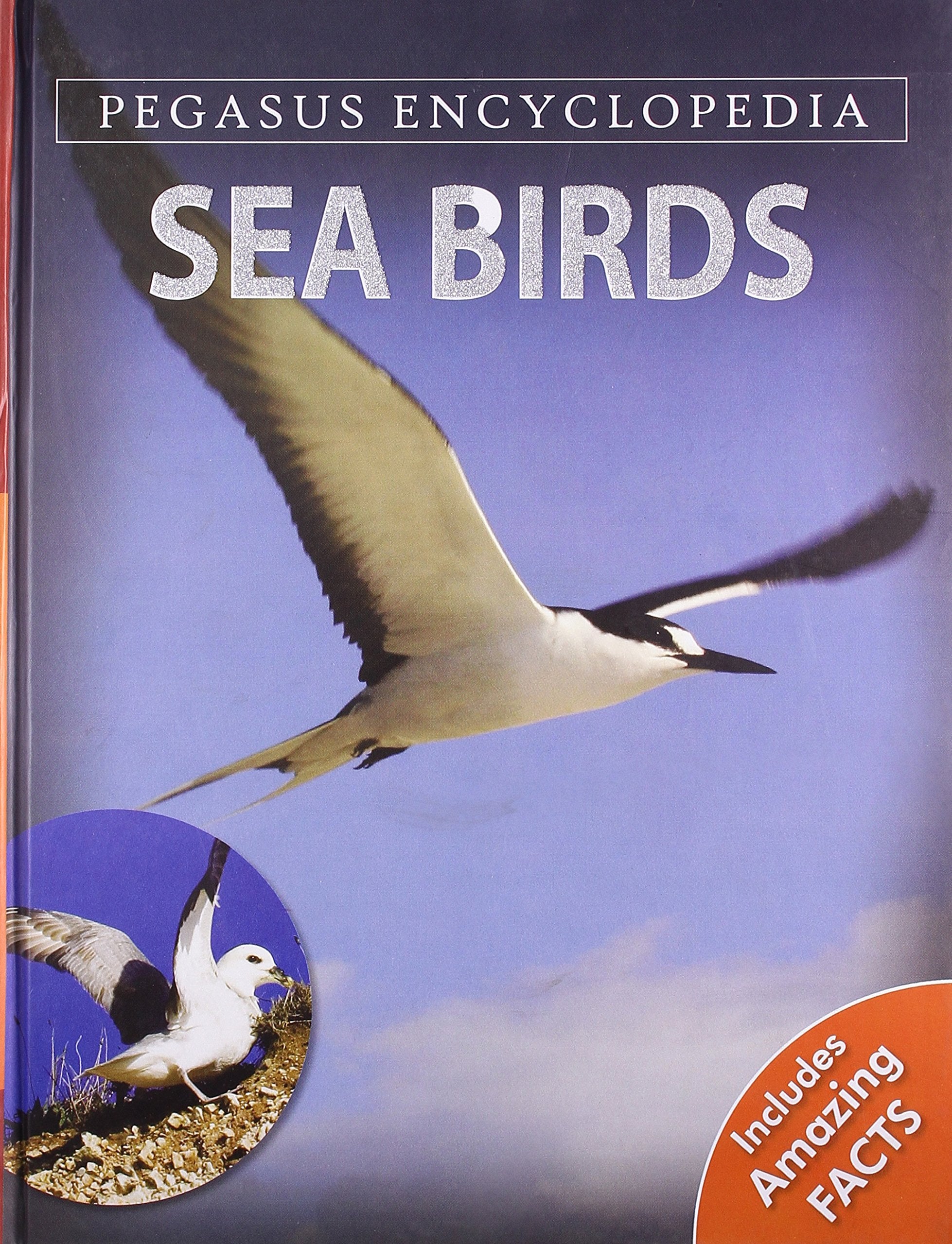 Sea Birds: 1 (Sea World)