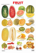 Educational Fruit Wall Chart For Kids Ages 25  Fruit 4 Learning Chart, 48 X 73 Cm, Colourful Laminated & TearResistant For Cl