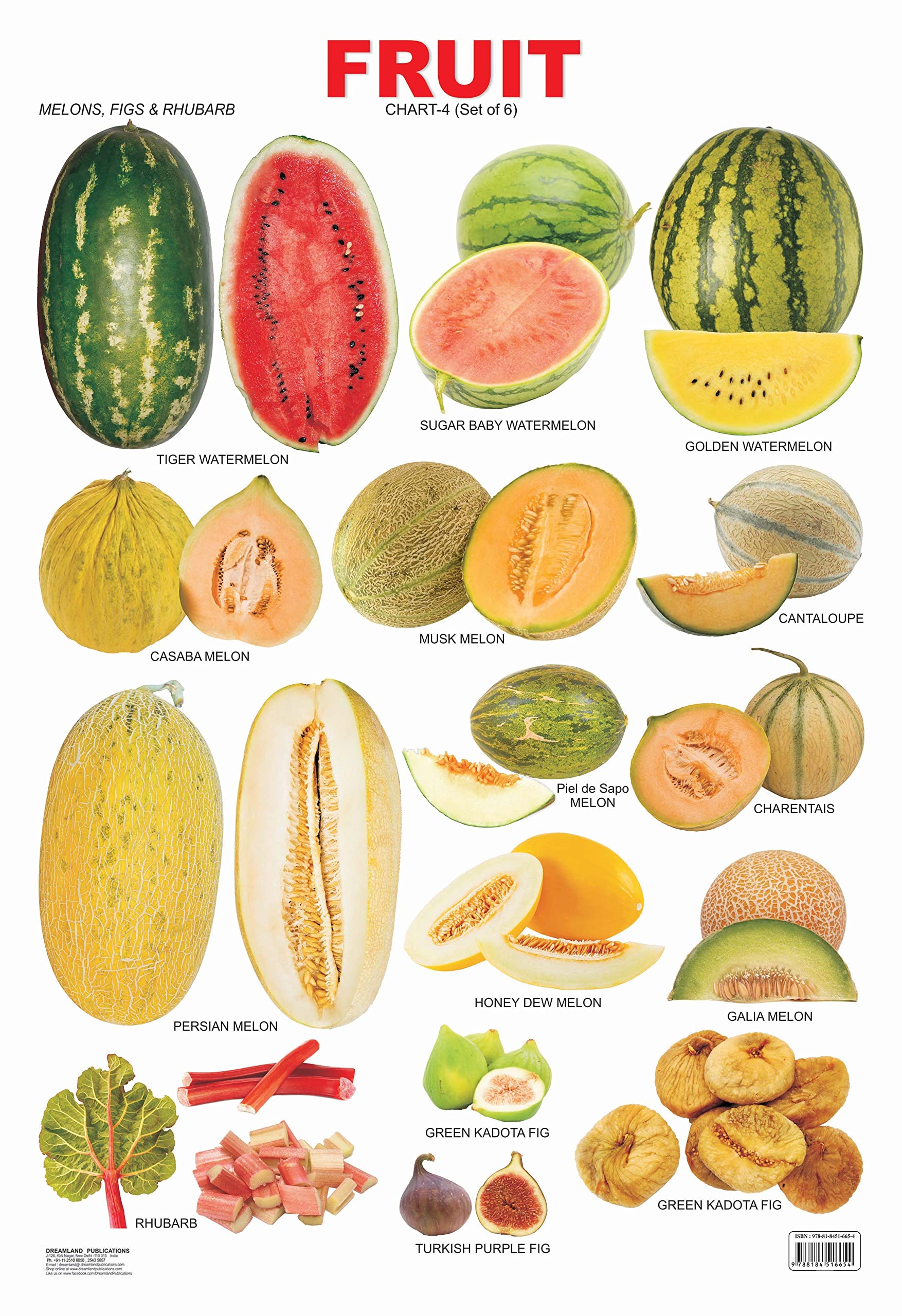 Educational Fruit Wall Chart For Kids Ages 25  Fruit 4 Learning Chart, 48 X 73 Cm, Colourful Laminated & TearResistant For Cl
