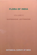 Flora of India Volume 9 (SaxifragaceaeLecythidaceae)