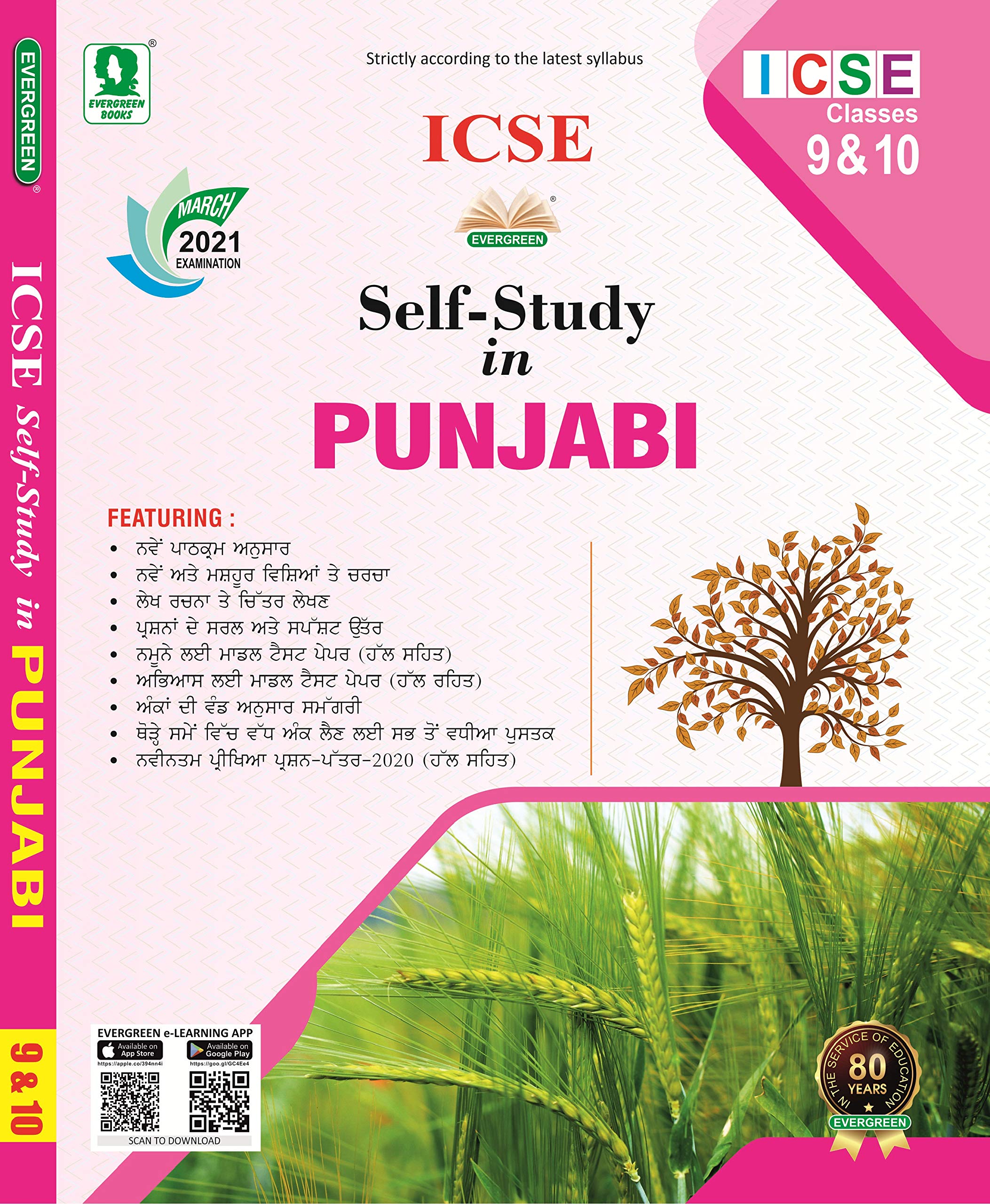 Evergreen Icse Self Study In Punjabi: For 2021 Examinations(Class 9 & X)
