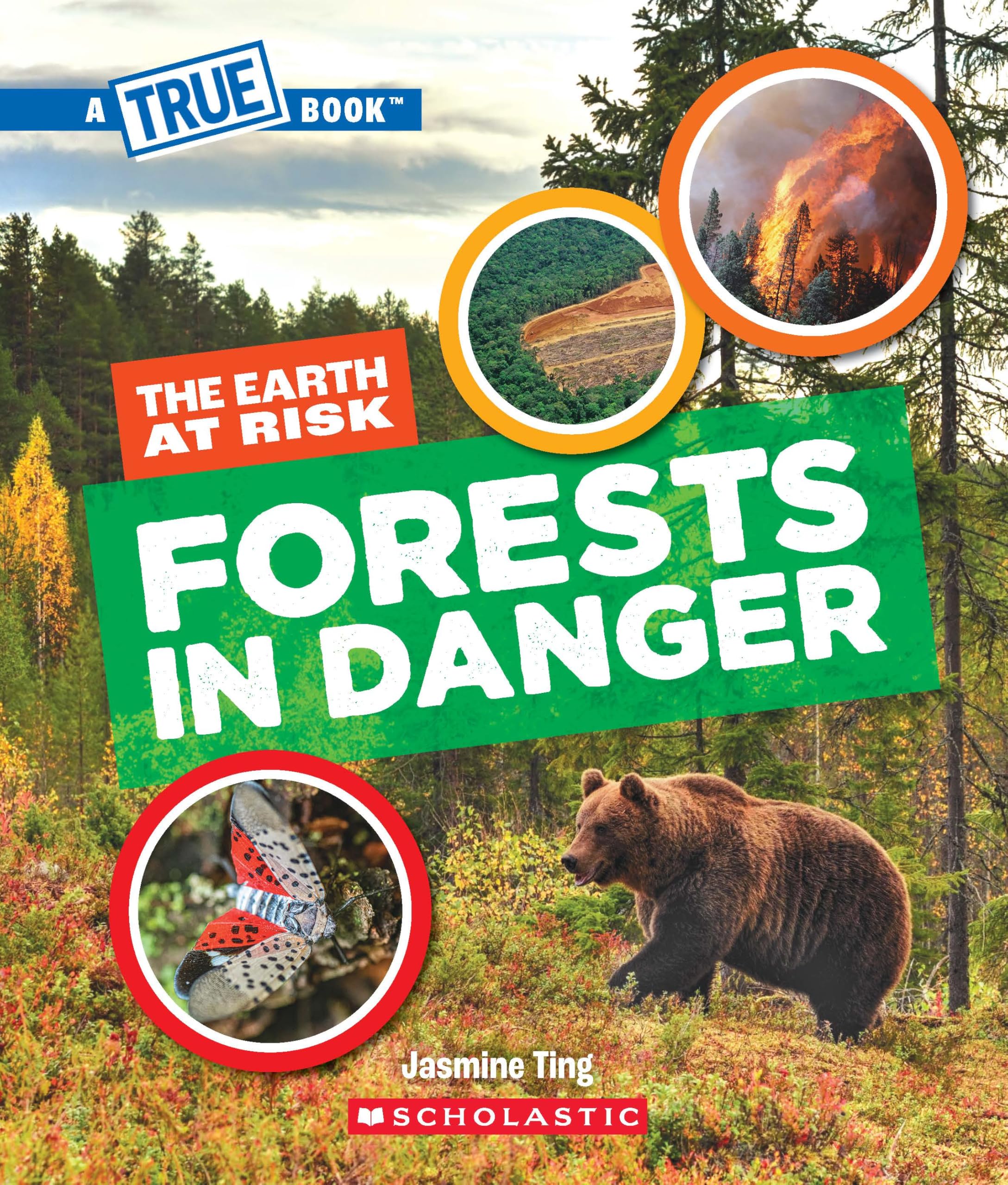 A True Book  The Earth at Risk: Forests in Danger