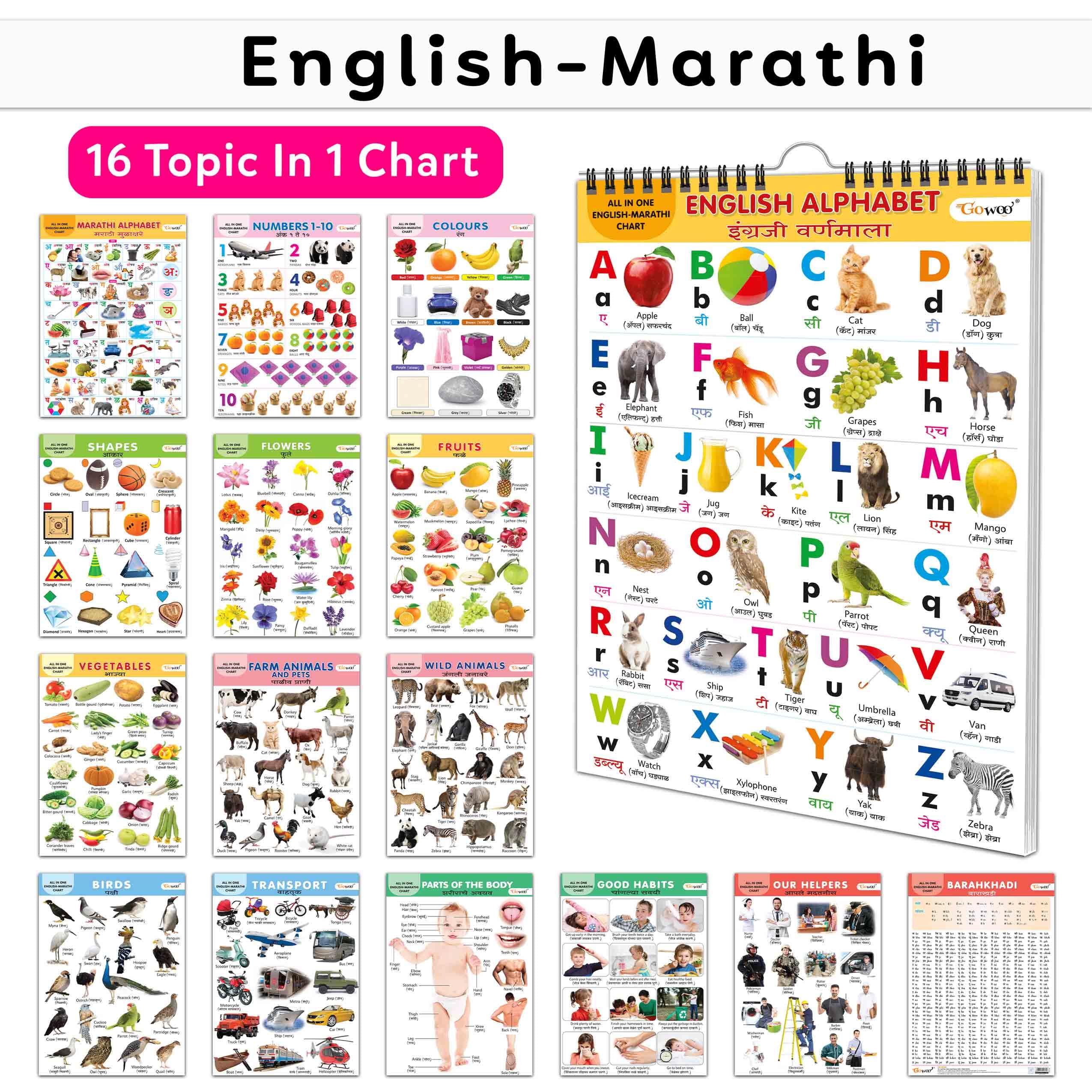 Essential Chart Of All In One : My First ALL IN ONE SPIRAL CHART ENGLISHMARATHI Educational Chart books for toddlers Collection