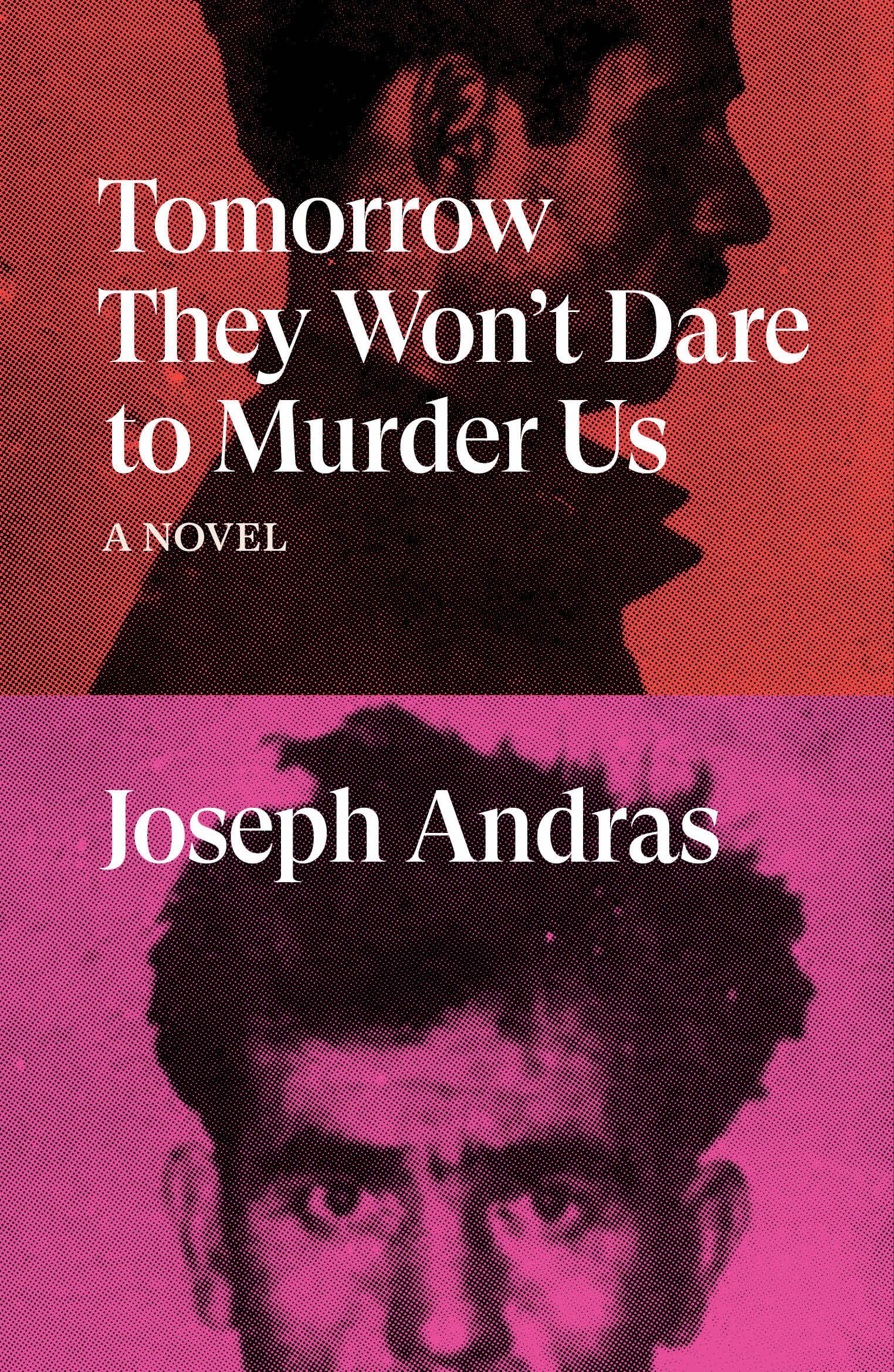 Tomorrow They Wont Dare to Murder Us: A Novel