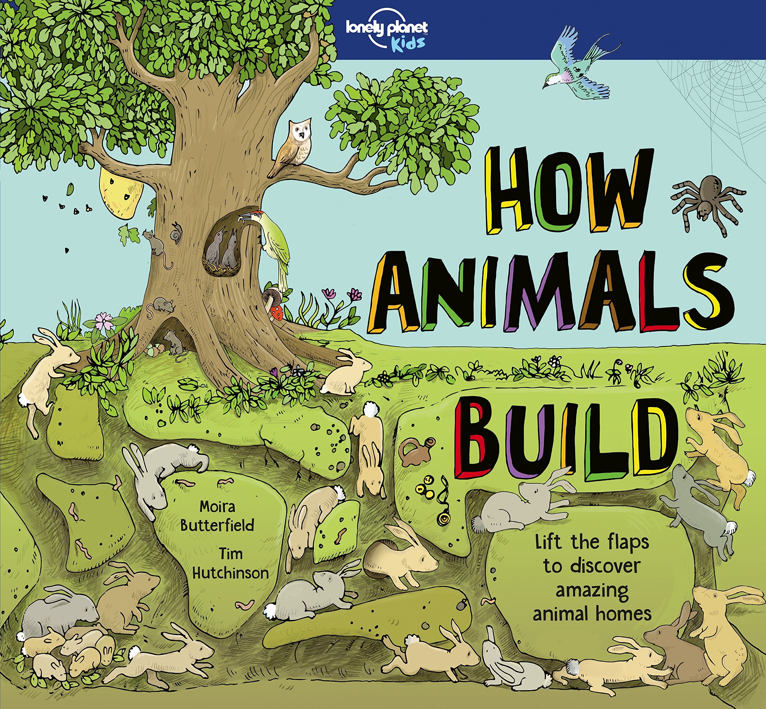 How Animals Build 1ed anglais