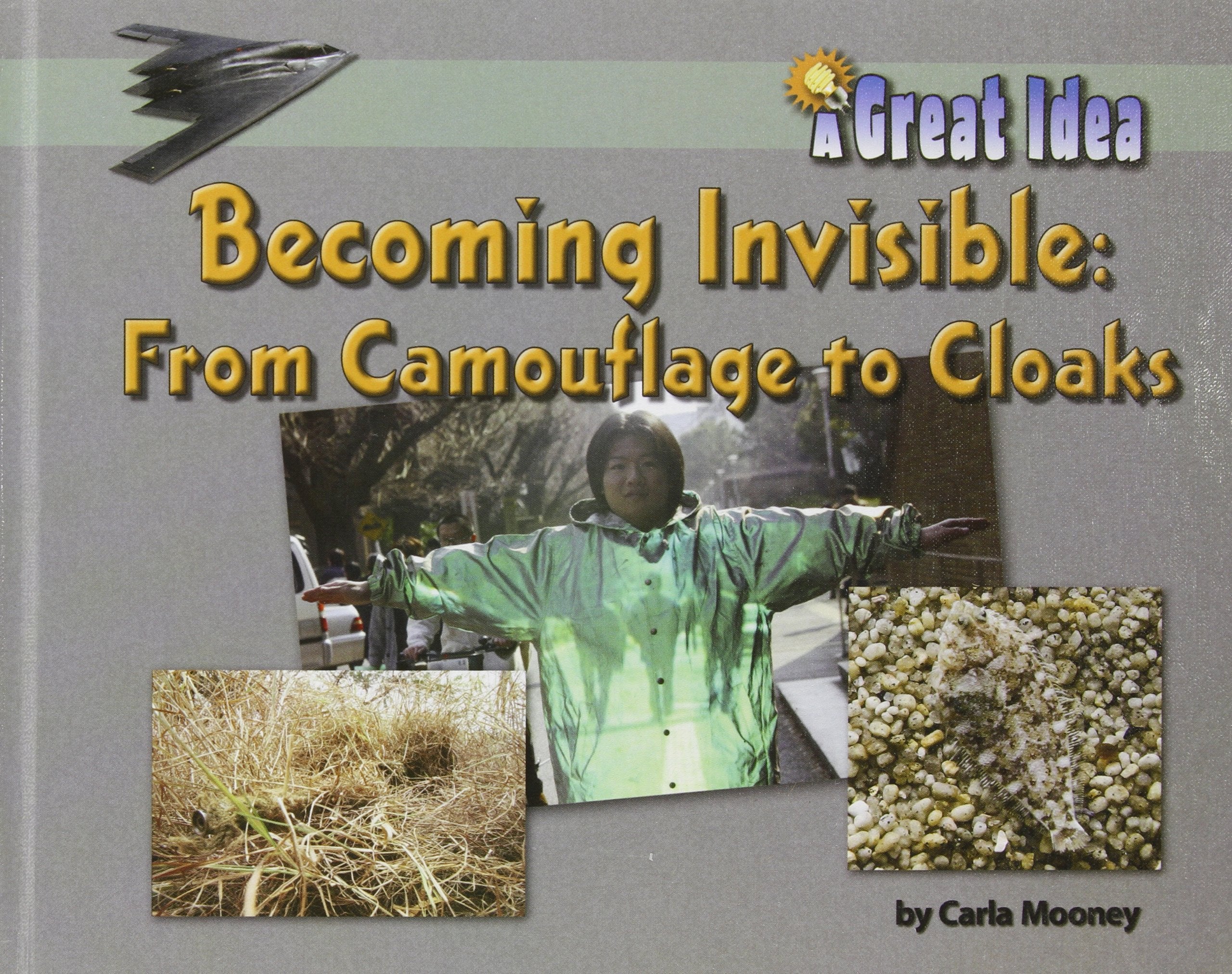 Becoming Invisible: from Camouflage to Cloaks: From Camouflage to Cloaks (Great Idea)