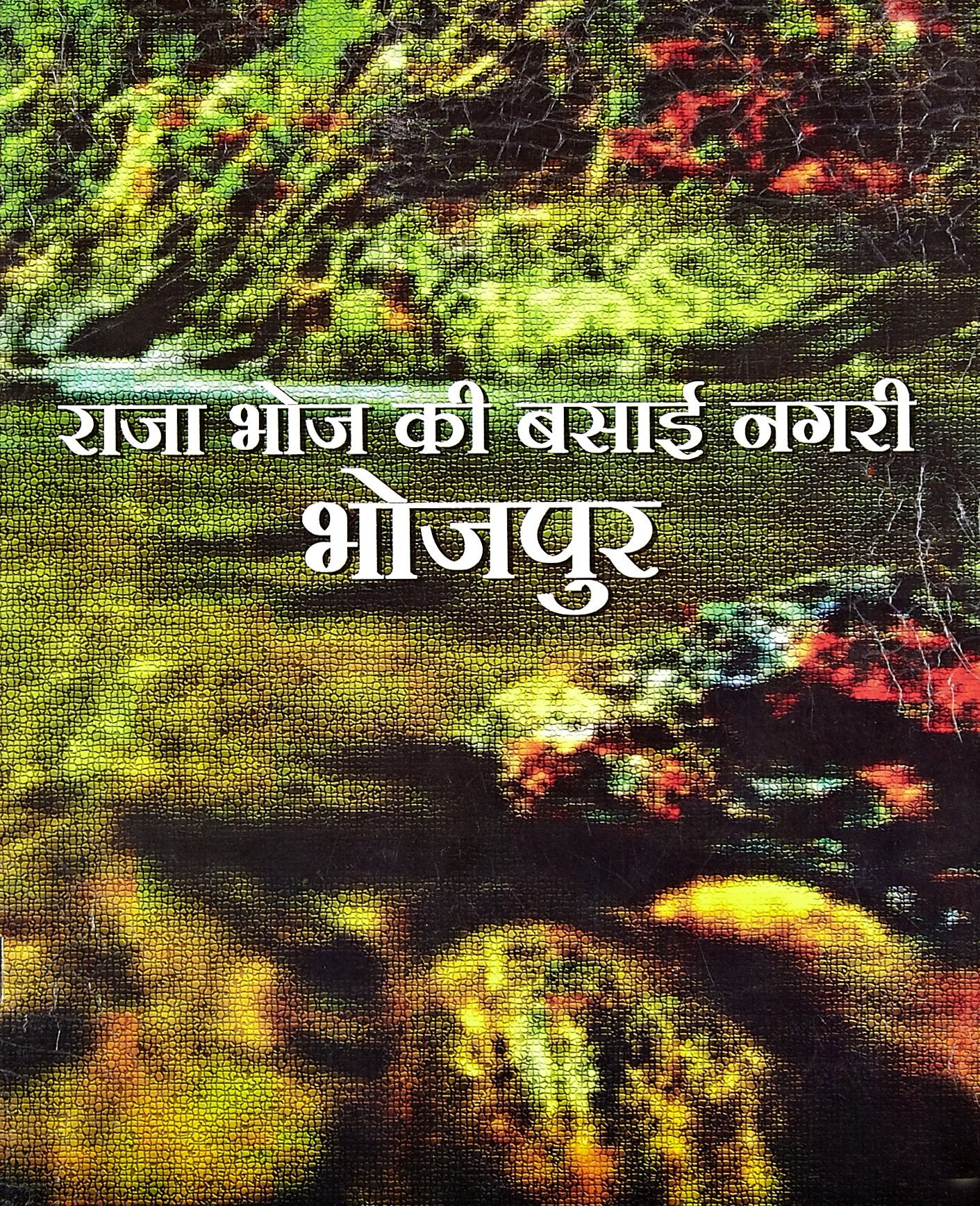 Raja Bhoj Ki Basai Nagari Bhojpur