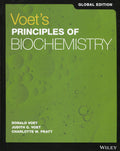 Voets Principles of Biochemistry Global Edition