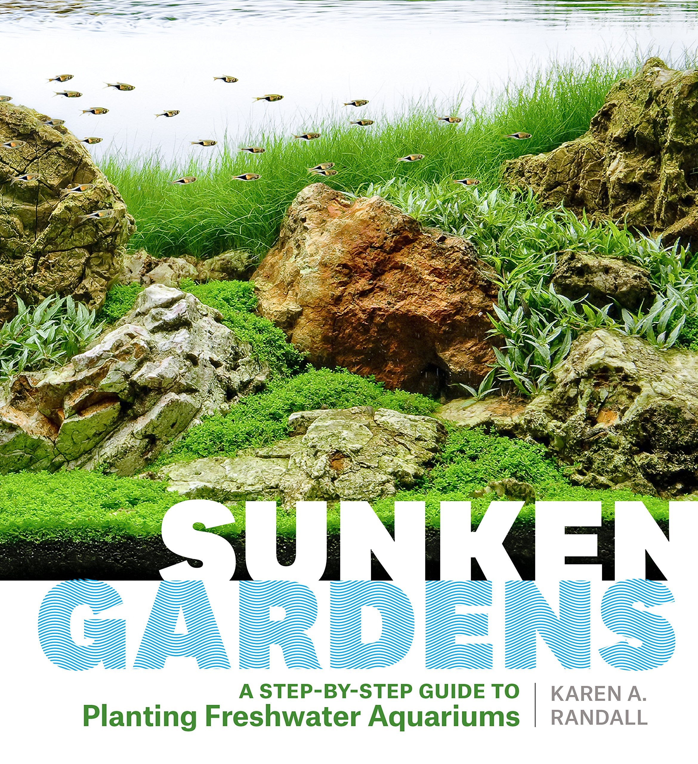 Sunken Gardens: A StepbyStep Guide to Planting Freshwater Aquariums