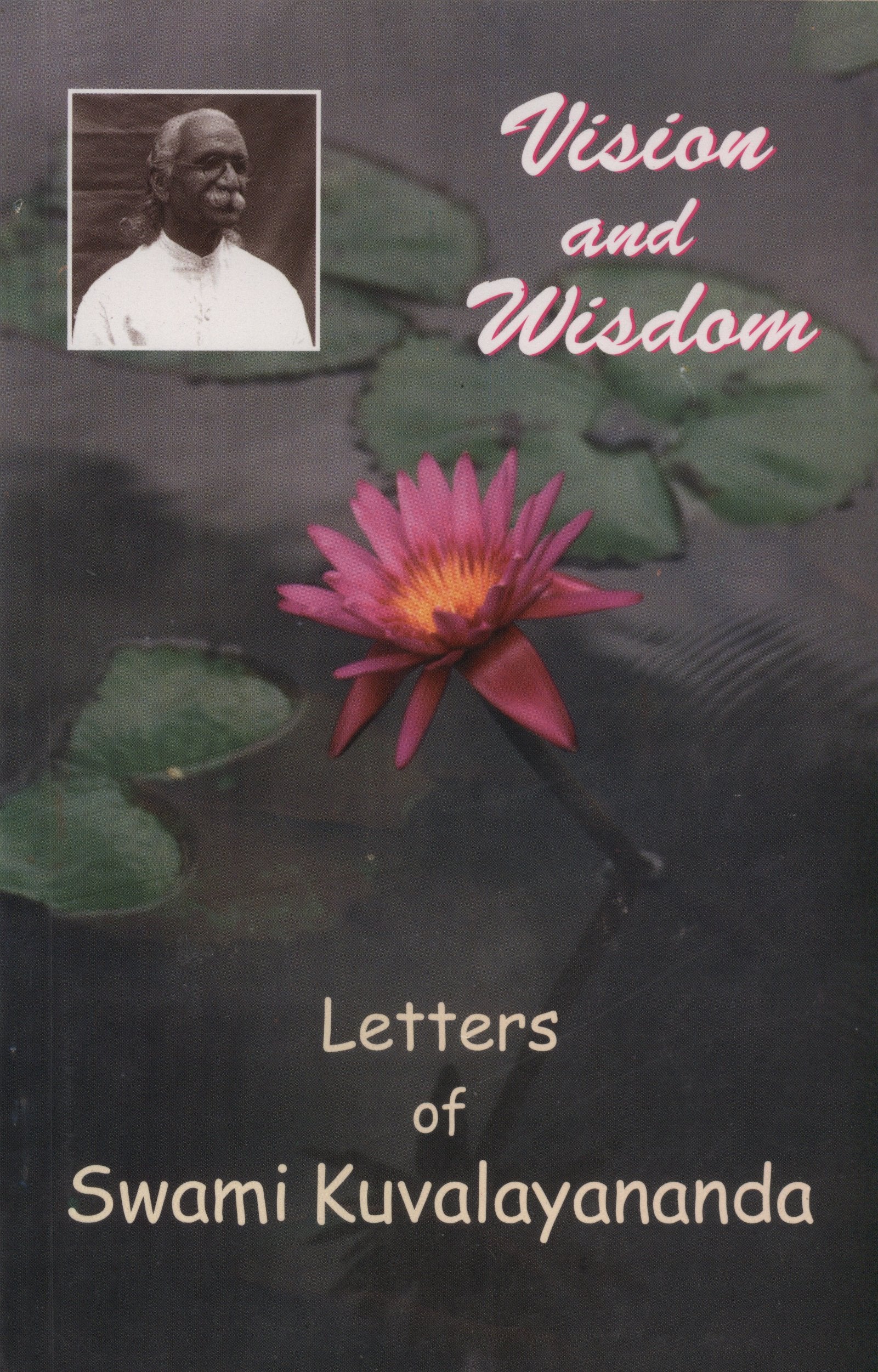 Vision and Visdom