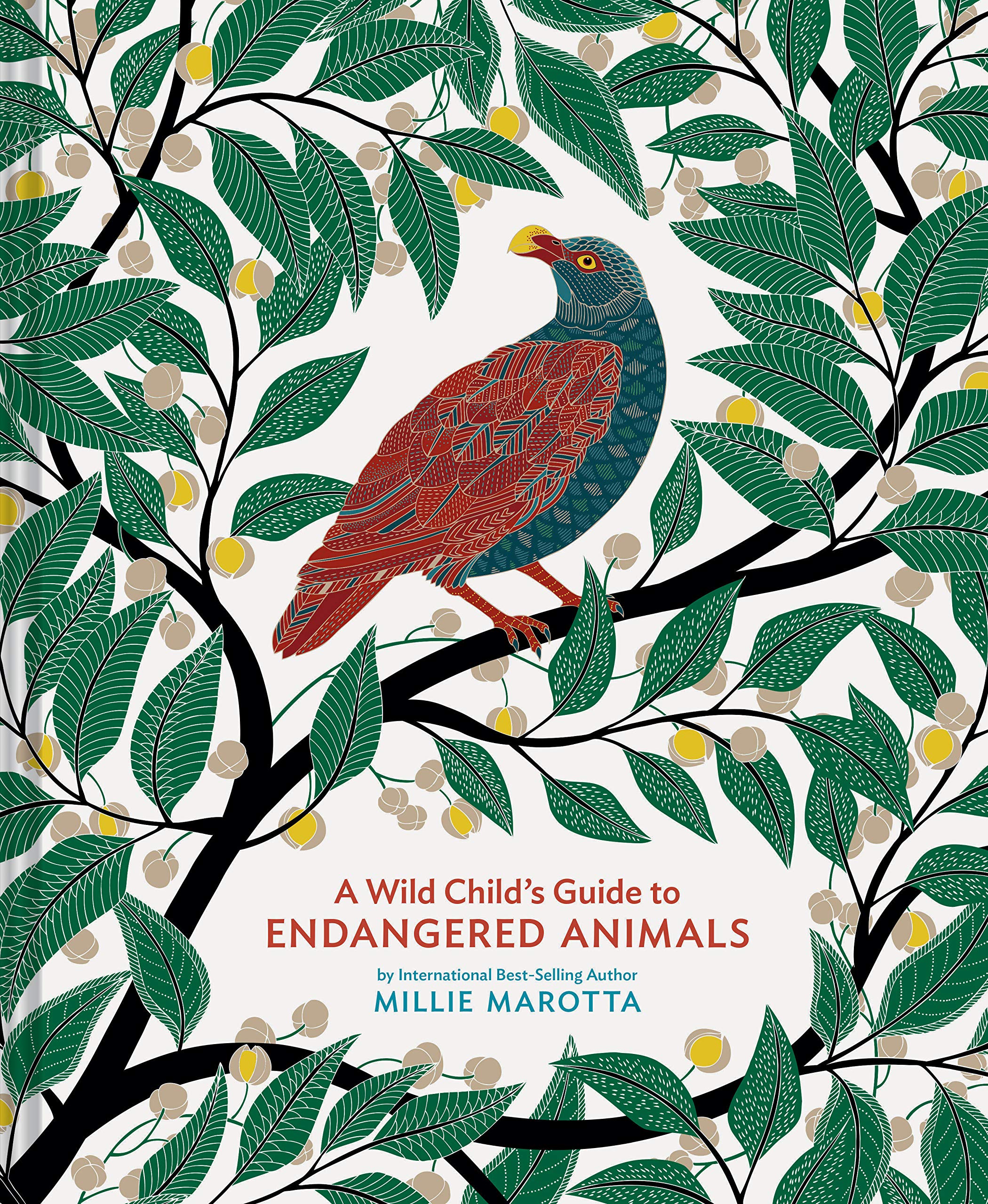 A Wild Childs Guide to Endangered Animals: (Endangered Species Book, Wild Animal Guide, Books About Animals, Plant and Animal B