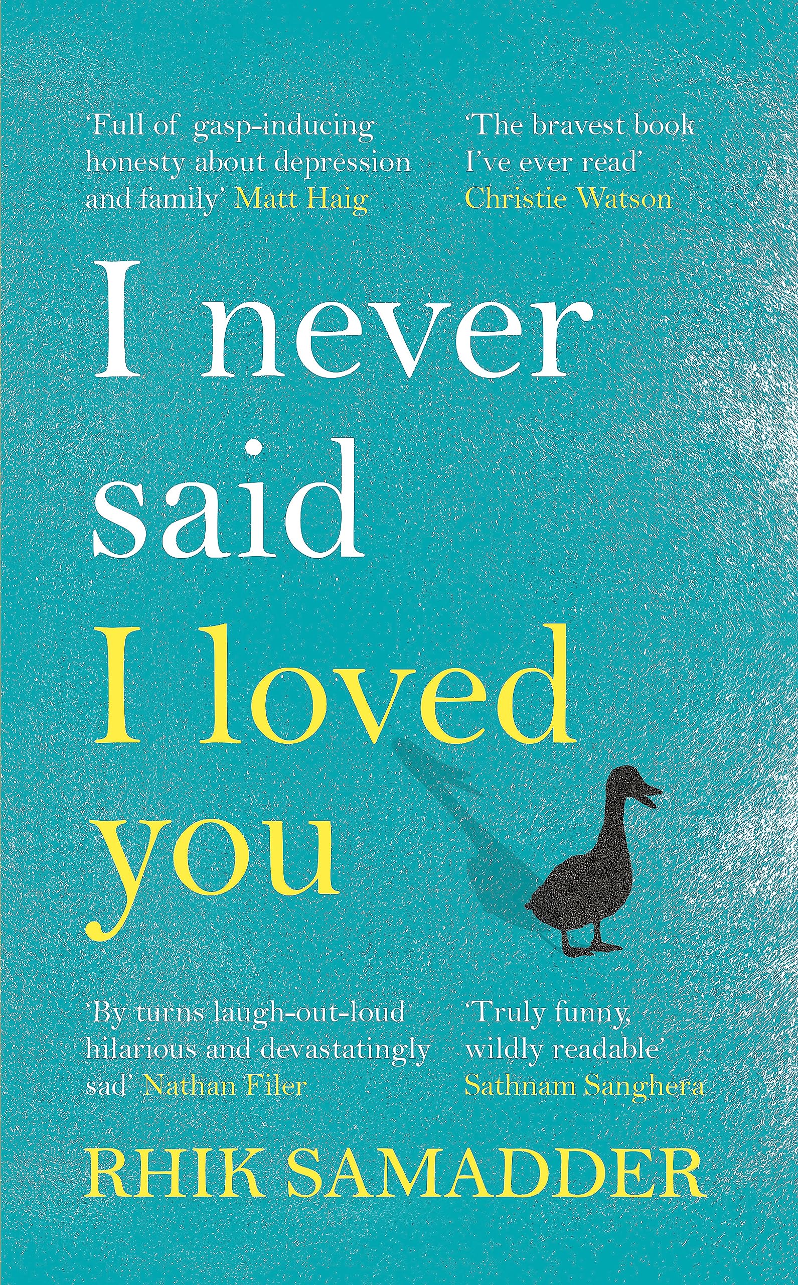 I Never Said I Loved You