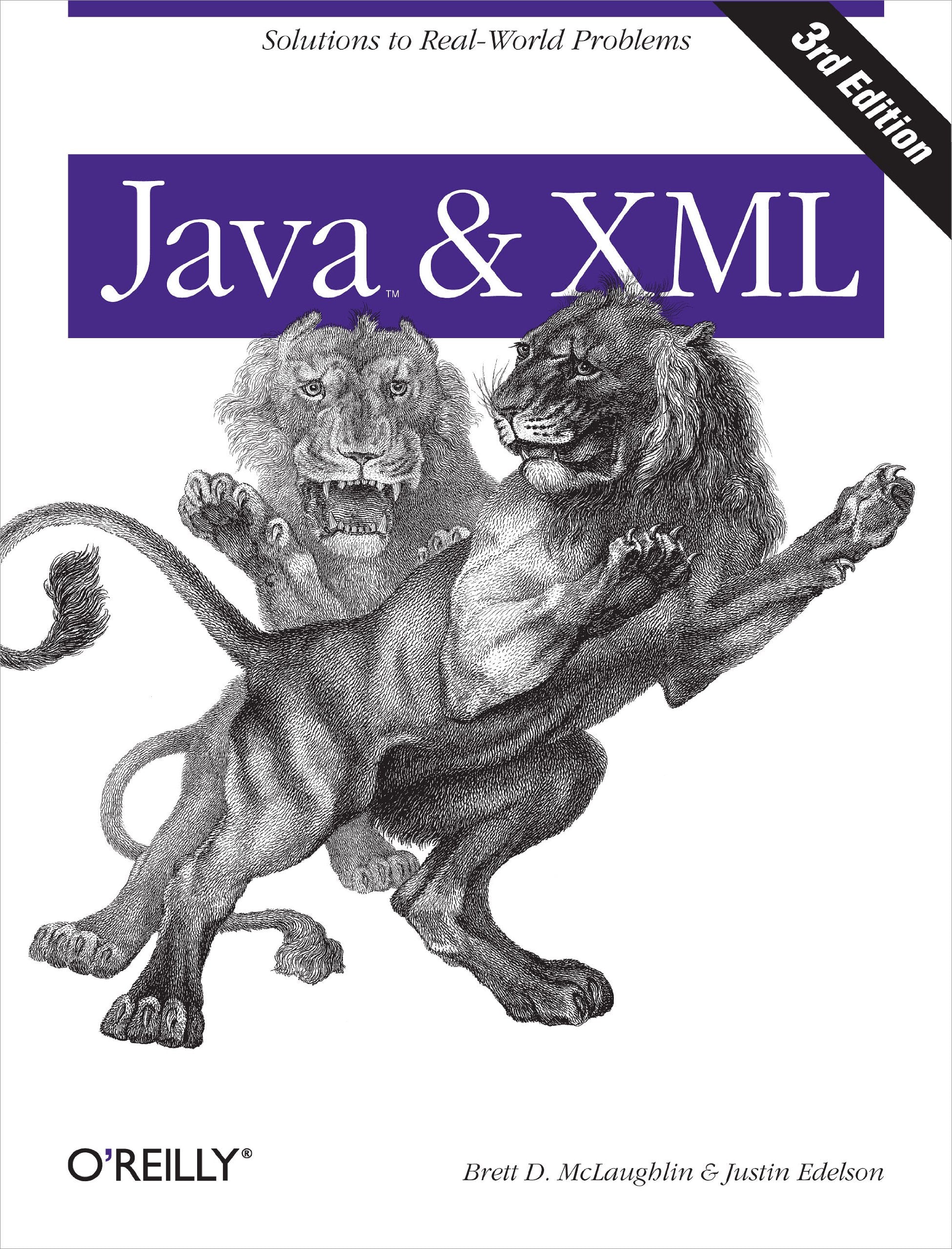 Java and XML: Solutions to RealWorld Problems