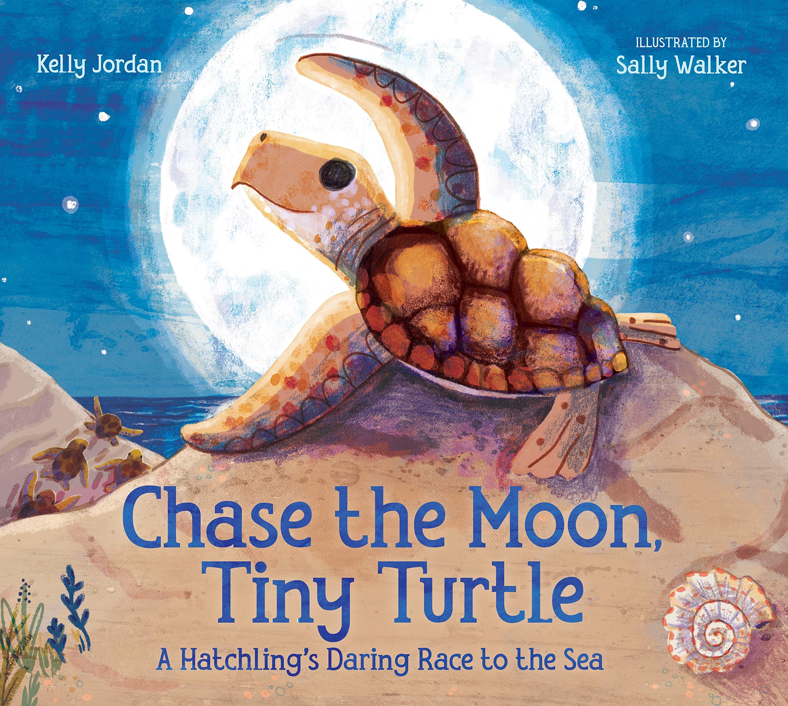 Chase the Moon, Tiny Turtle: A Hatchlings Daring Race to the Sea