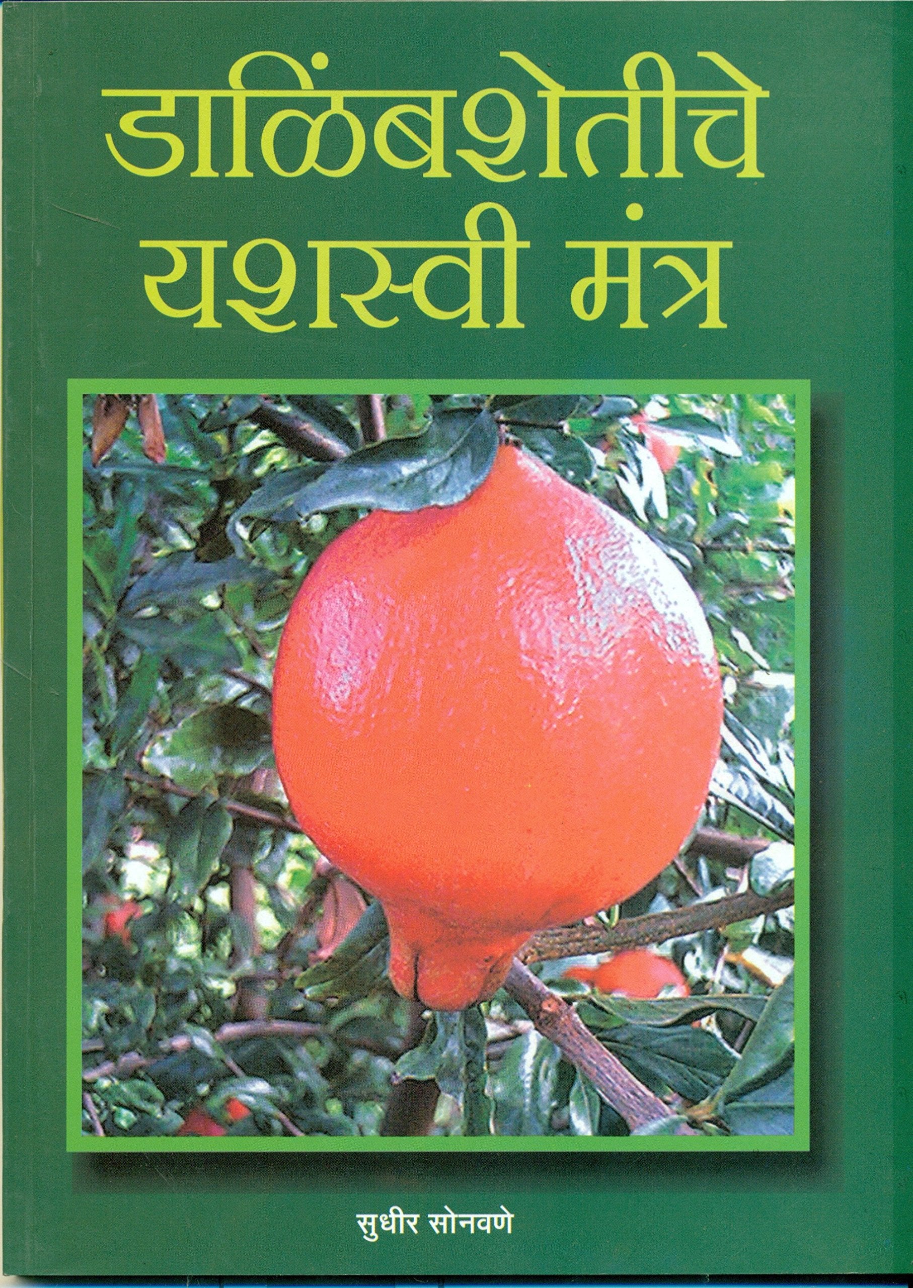Dalimb Shetiche Yashaswi Mantr