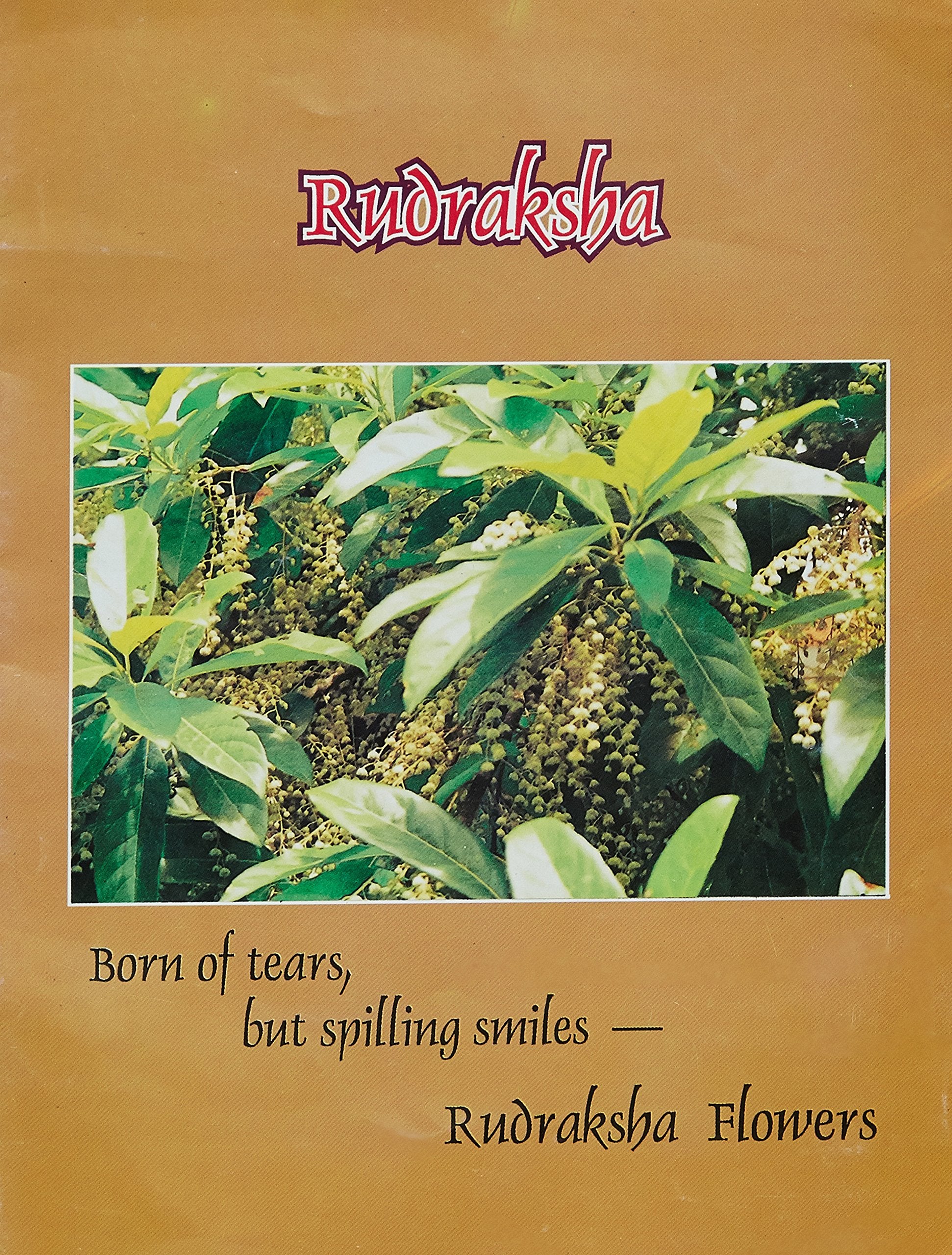 Rudraksha Booklet